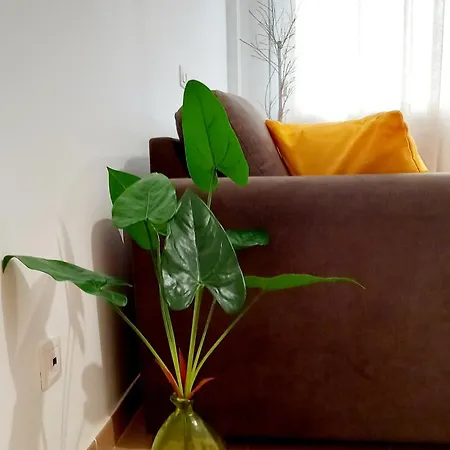 Apartment Greenhouse