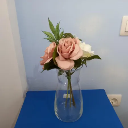 Greenhouse Апартаменти